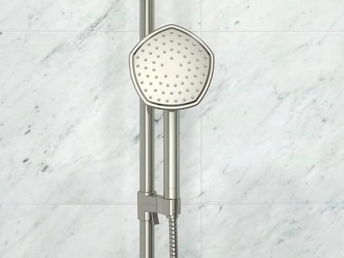 KOHLER 27052-G-BN Handheld Showerhead Single Function