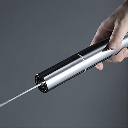 Chrome Handheld Shower Head Set with Hose and Holder