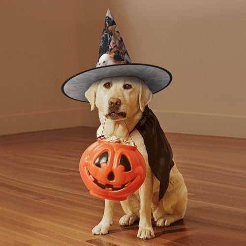 Many Dogs Print Halloween Witch Hat for Parties and Cosplay