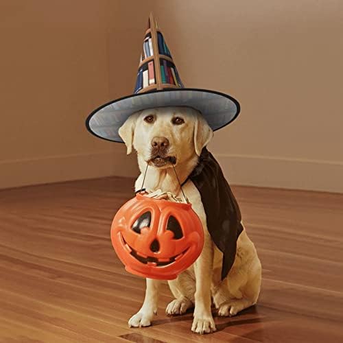 Witch Halloween Hat With Library Bookshelf Print