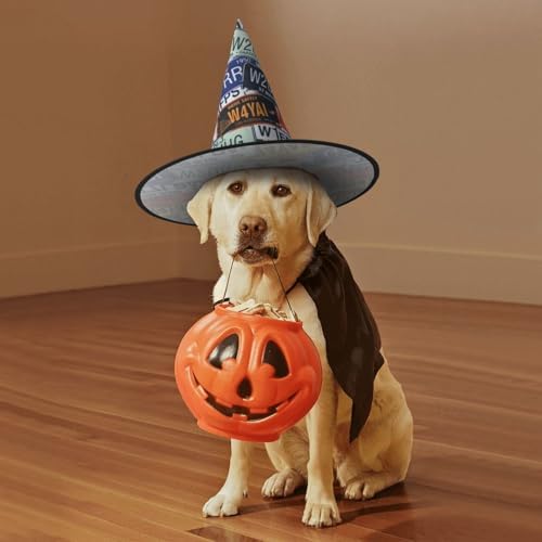 Jbyjbx License Plate Print Witch Hat for Parties
