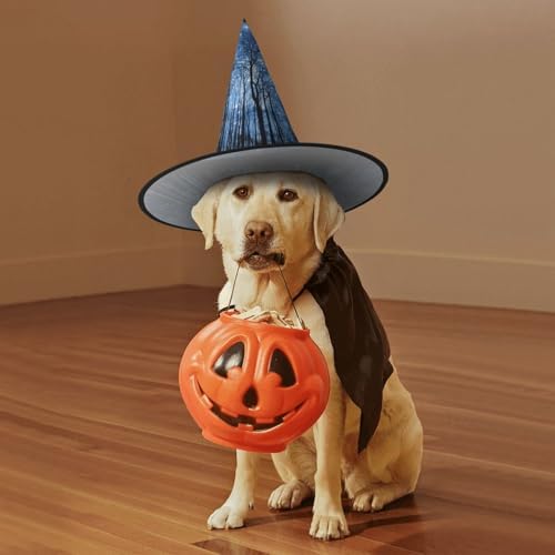 Night Sky Print Witch Hat for Halloween Parties