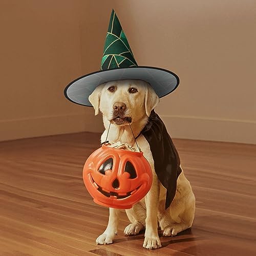 Black And Gold Geometric Print Halloween Witch Hat For Party And Cosplay