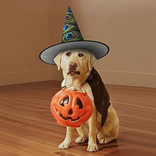 Fresh Peacock Print Witch Hat for Halloween and Carnival Parties