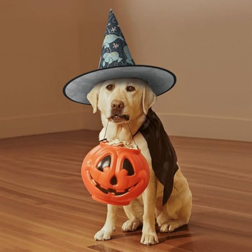 Jbyjbx Manatee Animals Print Witch Hat for Halloween and Carnival Events