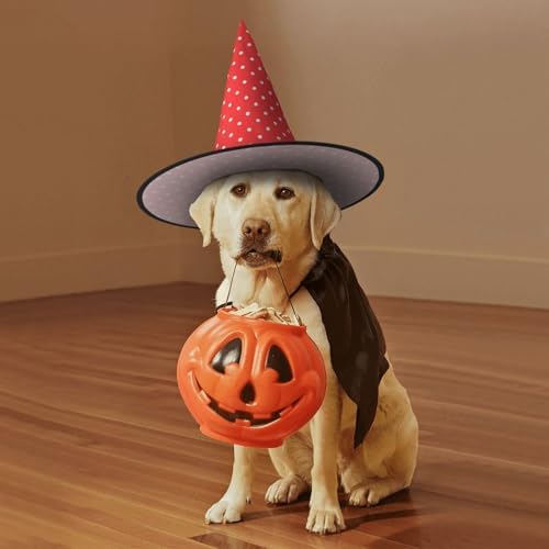 Red And White Polka Dots Witch Hat For Halloween Parties