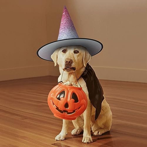 Foldable Blue Red Purple Witch Hat for Halloween Parties