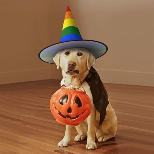 Rainbow Print Witch Hat for Halloween Parties