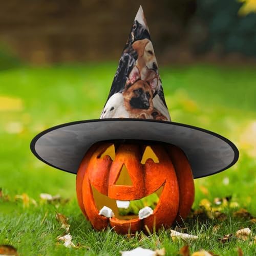 Many Dogs Print Halloween Witch Hat for Parties and Cosplay