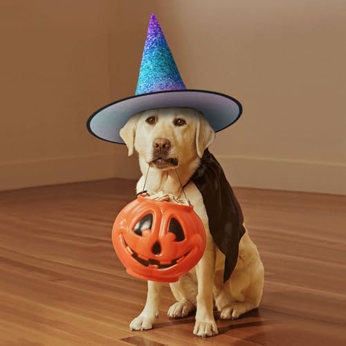 Glitter Sequin Spot Print Witch Hat for Halloween Parties