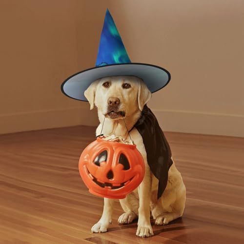 Northern Lights Print Halloween Witch Hat for Party and Costume