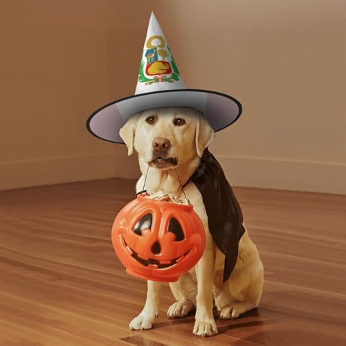 Peru Flag Print Carnival Halloween Witch Hat Party Costume