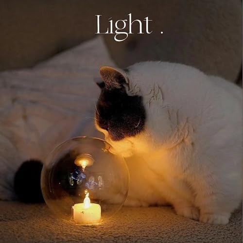 24 Pack Flameless LED Tea Light Candles for Decorations