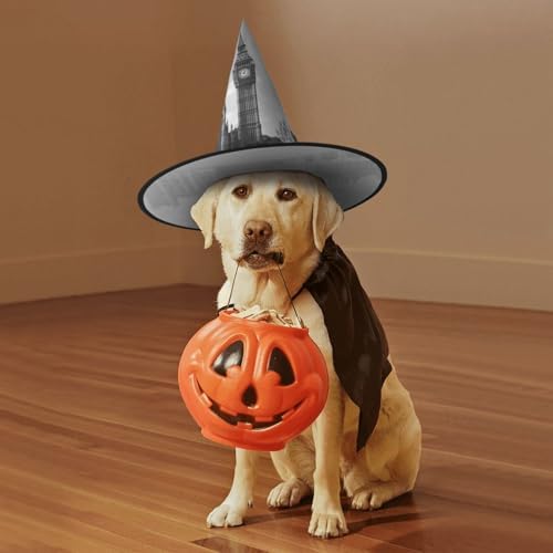 London Print Witch Hat for Halloween Parties