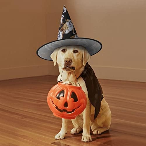 Jbyjbx English Bulldogs Print Witch Hat for Halloween Parties