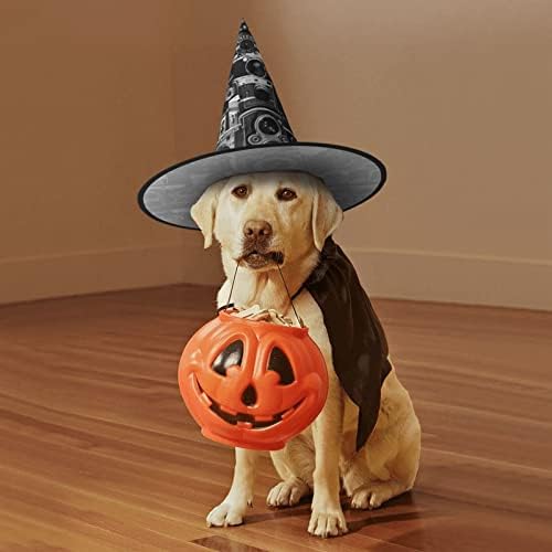 Cool Camera Print Witch Hat for Halloween Parties