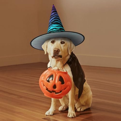 Jbyjbx Purple Blue Green Camouflage Zebra Stripes Witch Hat for Halloween Parties