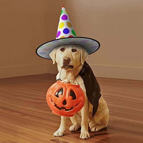 Polka Dot Print Witch Hat for Halloween Parties