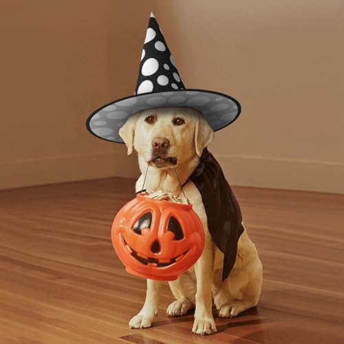 Black And White Polka Dot Witch Hat For Halloween Parties