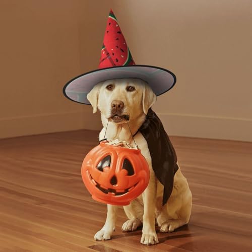 Red Watermelon Print Witch Hat for Halloween Parties