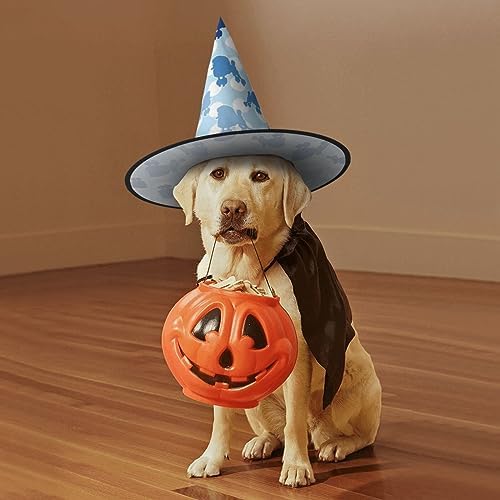 Blue Poodle Polka Dot Witch Hat for Parties and Cosplay