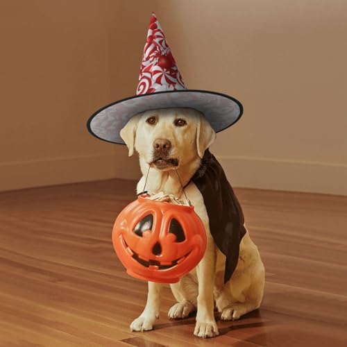 Candy Canes Print Witch Party Hat for Halloween and Carnival