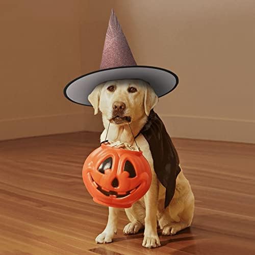 Rose Gold Red Print Witch Halloween Party Hat