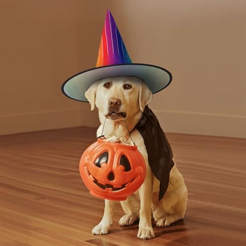 Rainbow Striped Witch Hat for Halloween Parties