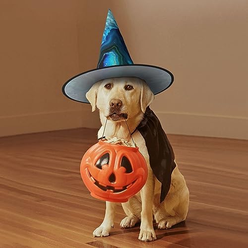 Bright Aqua Blue Print Witch Hat for Halloween Parties and Cosplay