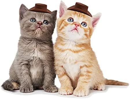 HOMICO 20 Piece Brown Mini Western Cowboy Hats for Dolls