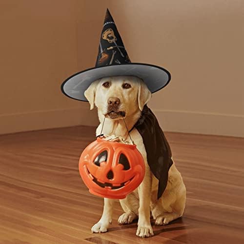 Carnival Halloween Witch Hat Themed Party Costume Headwear