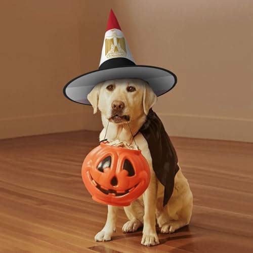Egyptian Flag Print Witch Hat for Halloween and Parties