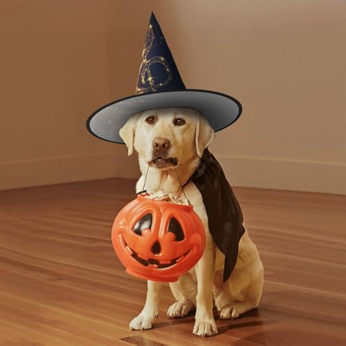 Gold Musical Note Halloween Witch Hat for Party and Costume