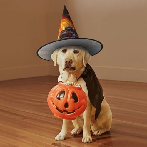 Firefighter Flame Print Halloween Witch Hat