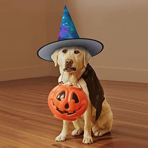 Purple Star Sky Print Witch Hat for Parties and Halloween
