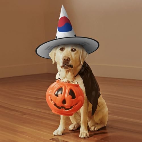 Republic Of Korea Flag Print Witch Hat For Halloween