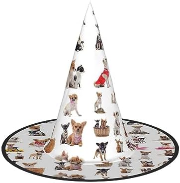 Cute Chihuahua Pug Halloween Witch Hat for Parties