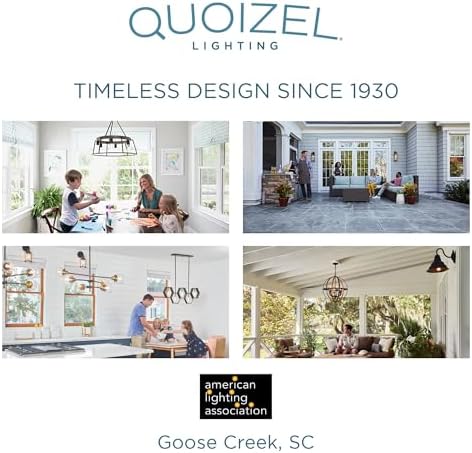 Quoizel Abner 5-Light Matte Black Chandelier