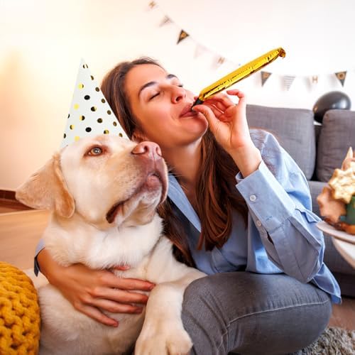 60 Piece Birthday Party Cone Hats Set with Blowers