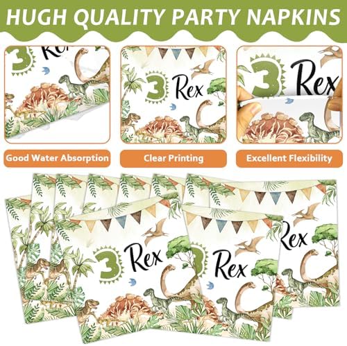 Dinosaur 3rd Birthday Party Tableware Set 96PCS