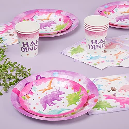 WERNNSAI Pink Dinosaur Party Plates 64 PCS Decorations