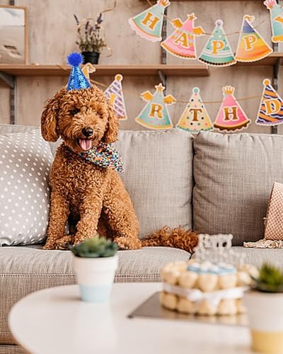 LEFUBABY 10 PCS Mini Glitter Party Hats for Pets