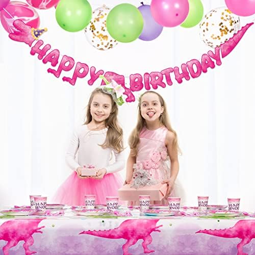 WERNNSAI Pink Dinosaur Party Plates 64 PCS Decorations