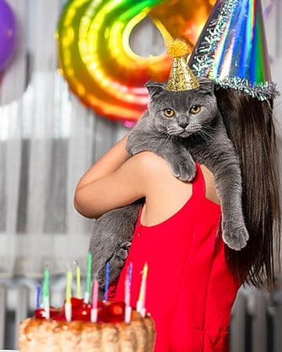 LEFUBABY 10 PCS Mini Glitter Party Hats for Pets