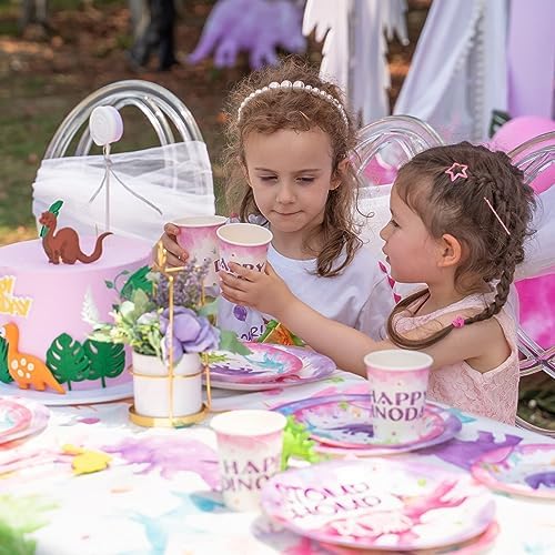 WERNNSAI Pink Dinosaur Party Plates 64 PCS Decorations
