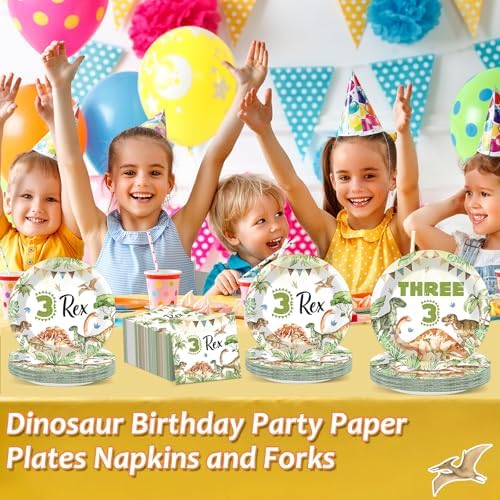 Dinosaur 3rd Birthday Party Tableware Set 96PCS